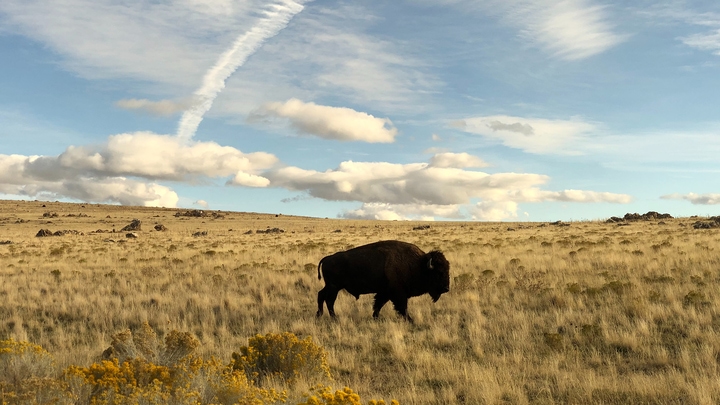 Photo by Jacob Fredrick on Unsplash