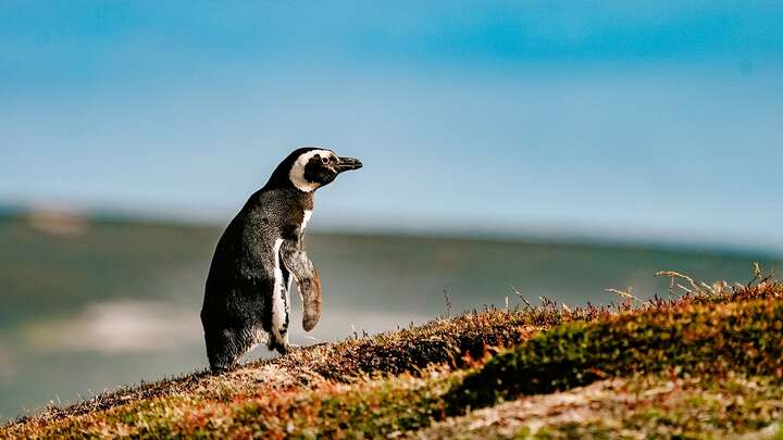 Photo by Rod Long on Unsplash