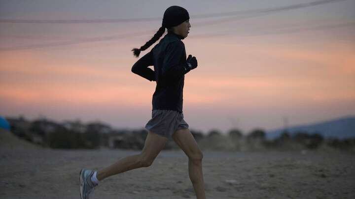 Richard Scibelli, New York Times