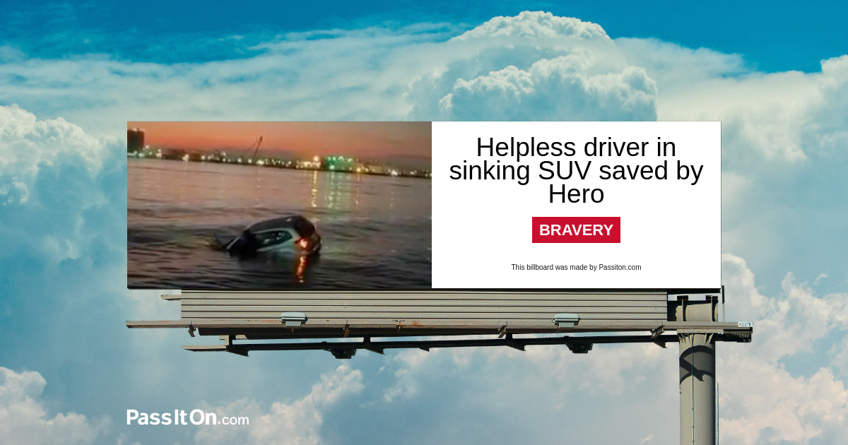 Hero Lifeguard Rescues Driver as Car Sinks