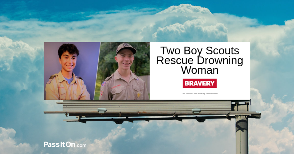 Two Boy Scouts Rescue Drowning Woman 