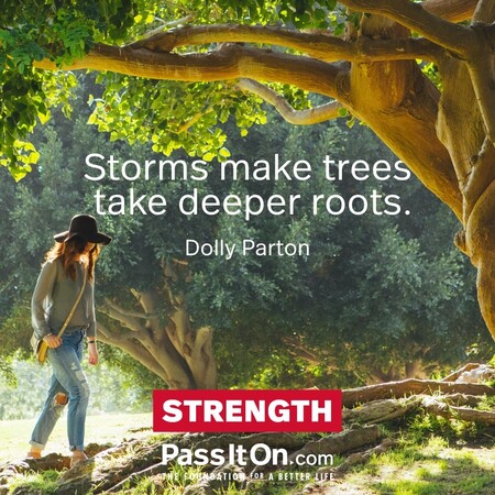 Storms make trees take deeper roots. #<Author:0x00007f7fb6280658>