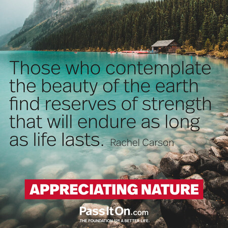 Those who contemplate the beauty of the earth find reserves of strength that will endure as long as life lasts.  #<Author:0x00007f7fb5883498>