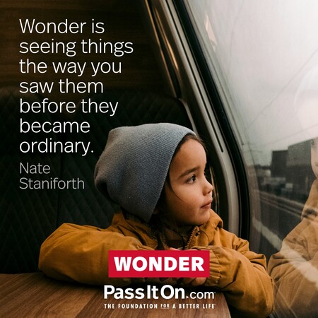 Wonder is seeing things the way you saw them before they became ordinary. #<Author:0x00007f7fb59a9250>