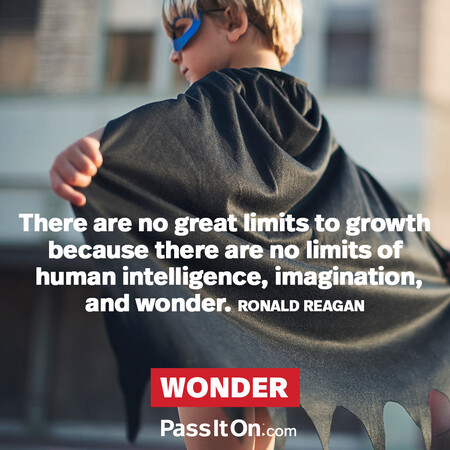 There are no great limits to growth because there are no limits of human intelligence, imagination, and wonder. #<Author:0x00007f7fb491f3d0>