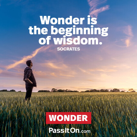 Wonder is the beginning of wisdom. #<Author:0x00007f7fb5ff4ec0>