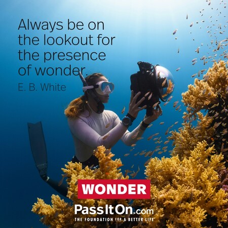 Always be on the lookout for the presence of wonder. #<Author:0x00007f7fb58f1420>