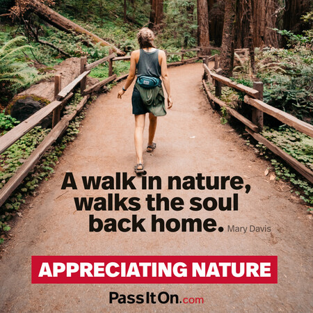 A walk in nature, walks the soul back home. #<Author:0x00007f7fb621c090>