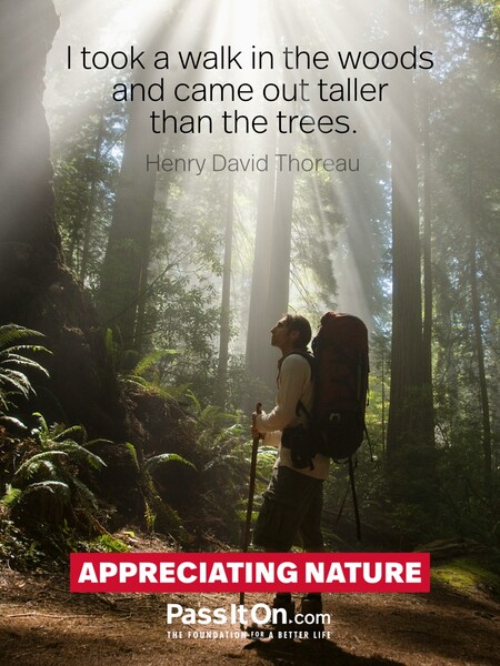 I took a walk in the woods and came out taller than the trees. #<Author:0x00007f7fb6462d18>