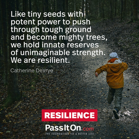 Like tiny seeds with potent power to push through tough ground and become mighty trees, we hold innate reserves of unimaginable strength. We are resilient. #<Author:0x00007f7fb6276540>